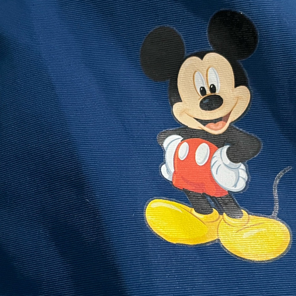 RARE The Bradford Exchange Disney Character Print Jacket - Picture 7 of 7